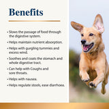 Infographic showing digestive support features for dogs with a running dog photo
