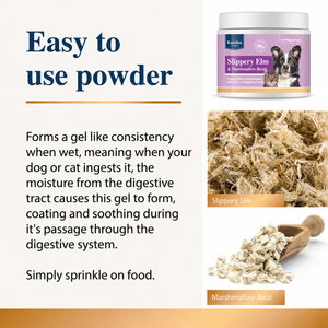 Infographic explaining powdered slippery elm and marshmallow root supplement for dogs and cats