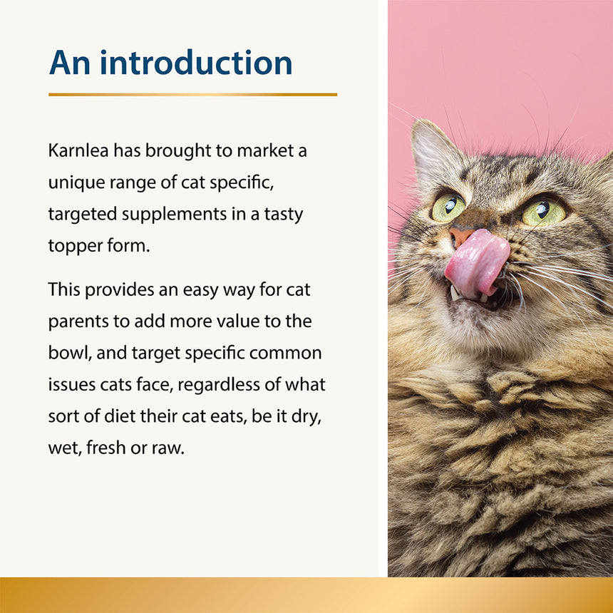 Karnlea cat supplements introduction graphic with explanatory text and cat image