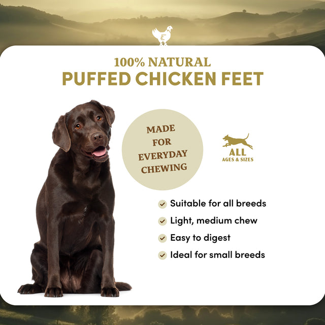 Puffed Chicken Feet Dog Treats