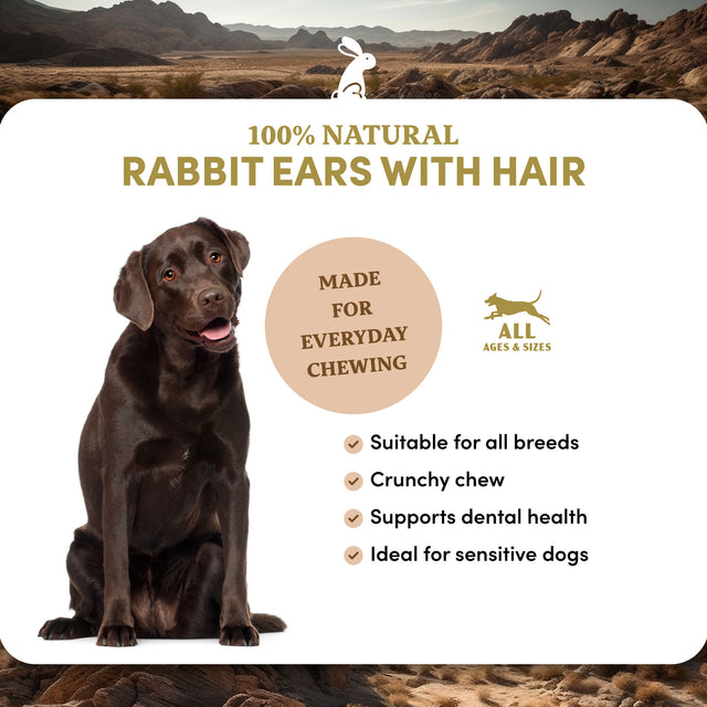 Rabbit Ears with Hair Dog Treats - 4.5lb Bulk Bag