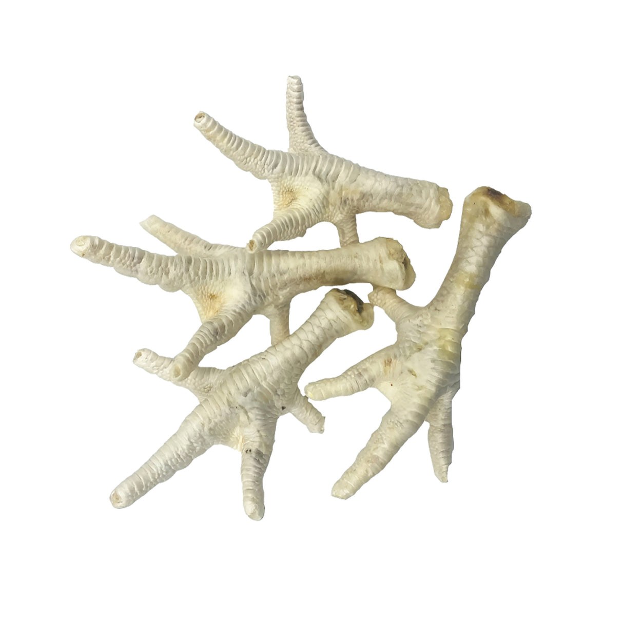 Oldfield Naturals Puffed Chicken Feet – Air-Dried Crispy Dog Chews for Small and Senior Dogs