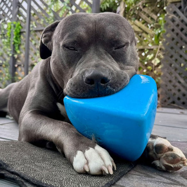 Roolo Enrichment Bopping Ball