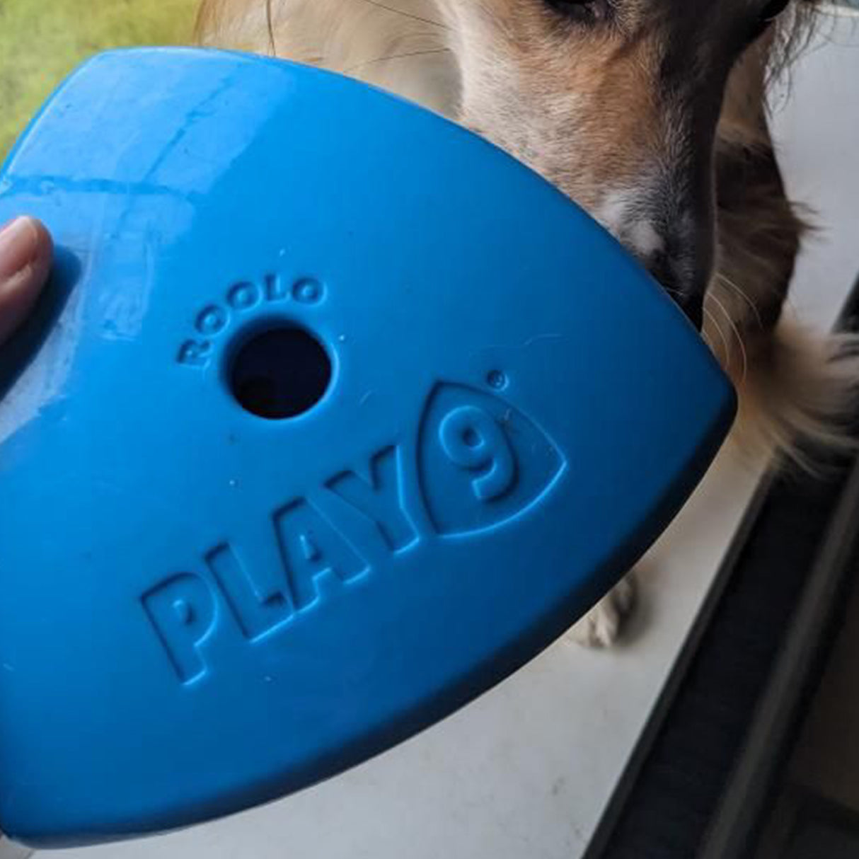 Roolo Enrichment Bopping Ball