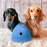 Roolo Enrichment Bopping Ball