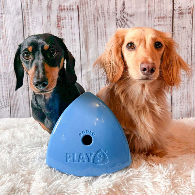 Roolo Enrichment Bopping Ball