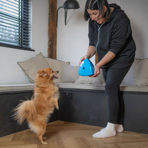 Dog parent and dog playing with Roolo enrichment toy