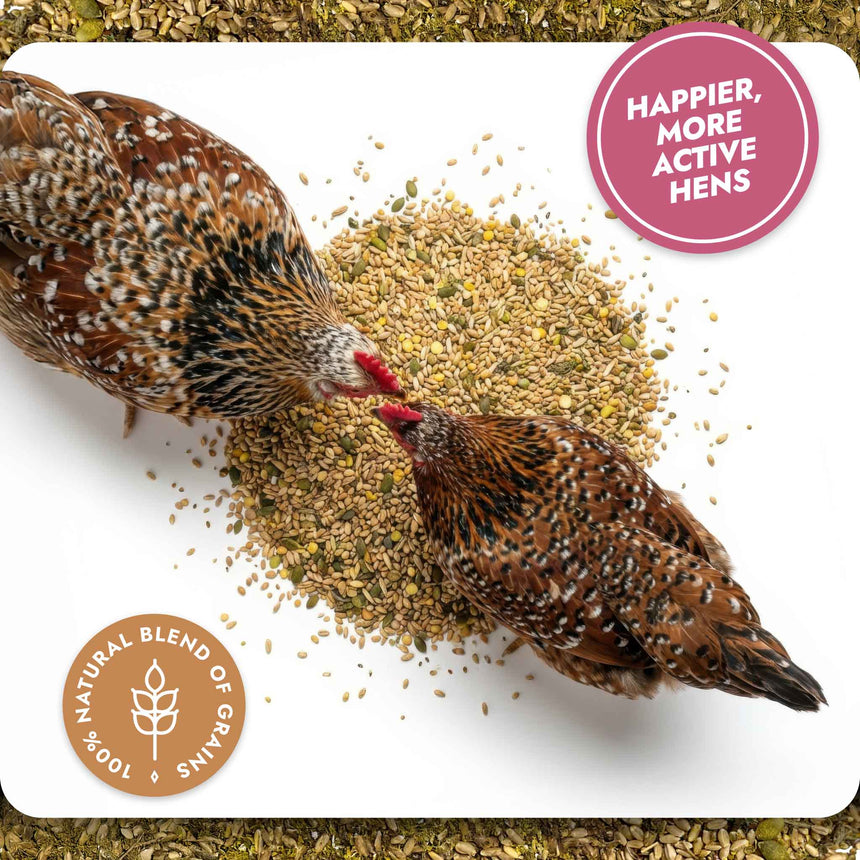 Bone and Mobility - Natural Joint & Bone Support for Chickens