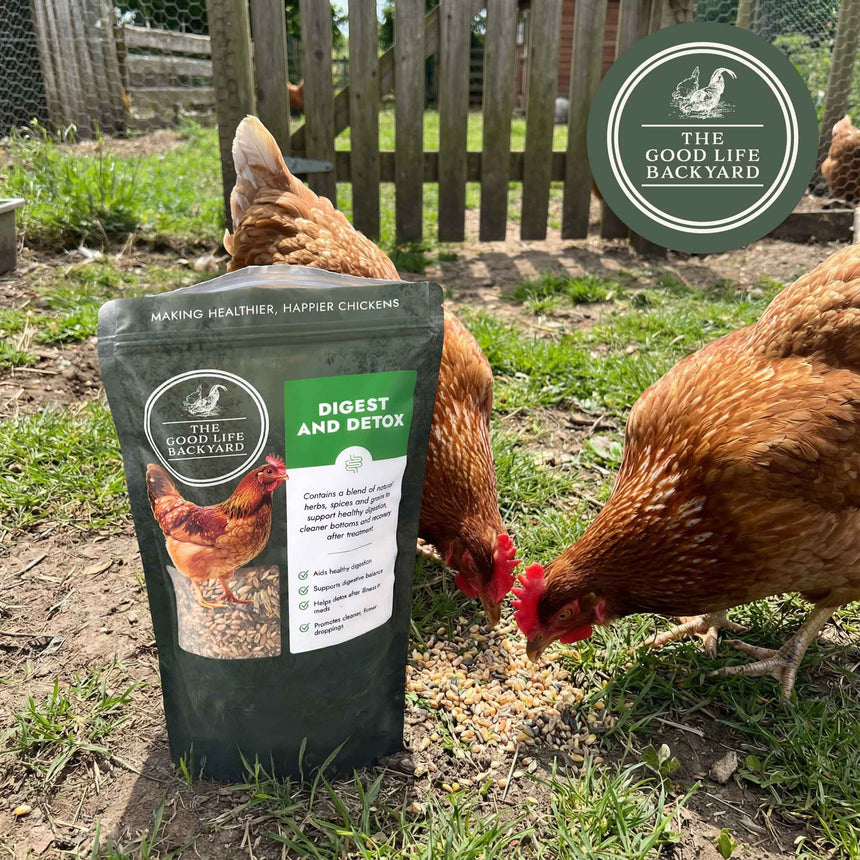 Digest & Detox - Natural Chicken Supplement for Digestion & Droppings
