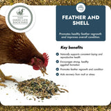 Feather and Shell - Natural Supplement for Eggshells & Molt Recovery