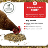 Respiratory Relief - Spice Blend Natural Chicken Supplement for Airway Support