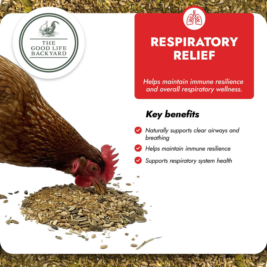 Respiratory Relief - Spice Blend Natural Chicken Supplement for Airway Support