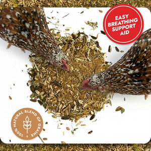 Respiratory Relief - Spice Blend Natural Chicken Supplement for Airway Support