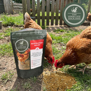 Respiratory Relief - Spice Blend Natural Chicken Supplement for Airway Support