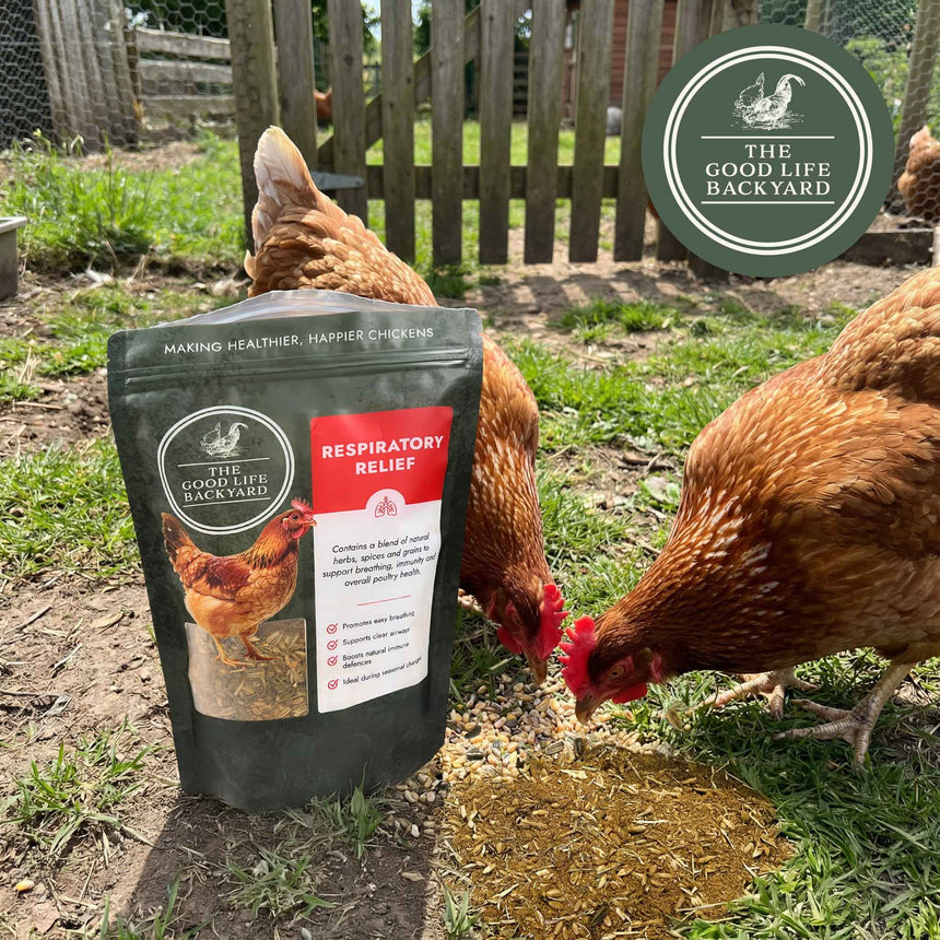 Respiratory Relief - Spice Blend Natural Chicken Supplement for Airway Support