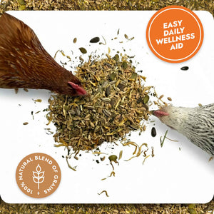 Superfood Strength - Natural Chicken Supplement for Daily Flock Wellness