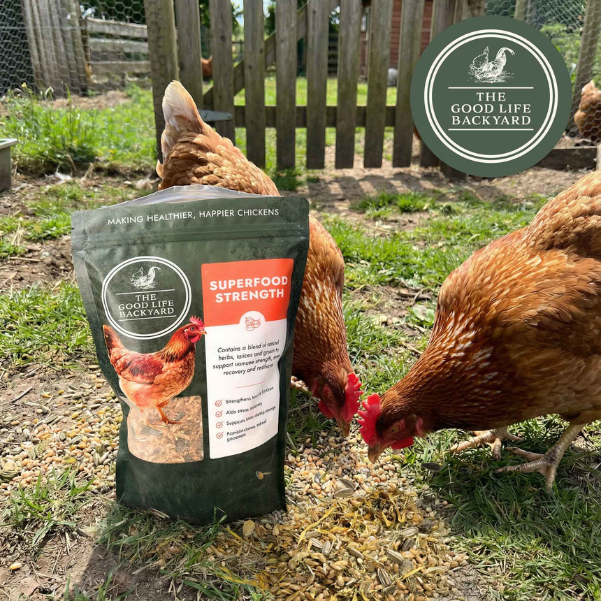 Superfood Strength - Natural Chicken Supplement for Daily Flock Wellness