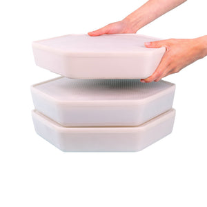 Mealworm growing pods for home 